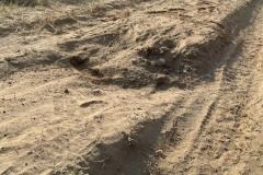 prokop-safari21-bum-havarka-1