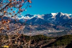 rada-abarth-monte2022-4