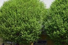 slovacky-okruh22-sko-9