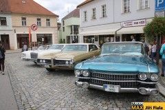 south-bohemia22-veter-fial-1