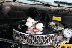 sraz-Hollywood-Holysov21-21