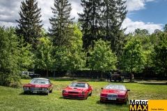 sraz-roys-bentley-lotus-61