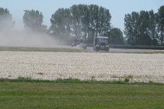 IMG_6170