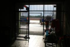sring23-tcr-pj-74