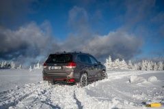subaru-Forester-17