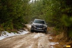 subaru-Forester-6