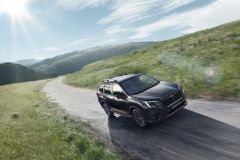subaru-global-7