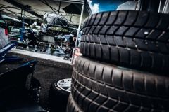 team-samohyl-sumava-17