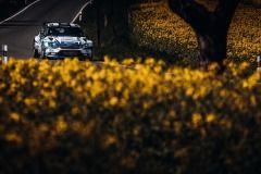 team-samohyl-sumava-45