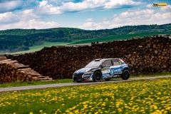 ned-sumava22-4-mares