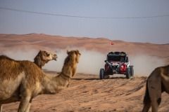 test-dakar-buggyra-uae_dubaj21-121-velbloudi