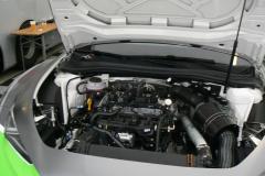 sring-pat-trucky23-pj-54-tcr-fulin