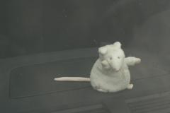 sring-pat-trucky23-pj-62