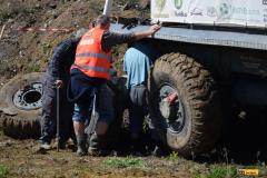 TTR-Branany25-mus-22