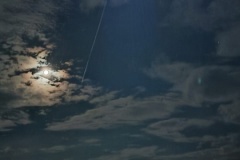 ttr-kunstat-mus22-104