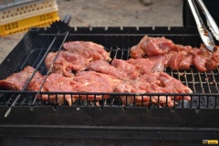 ttr-kunstat-mus22-64