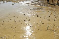 TTR-Kunstat23-pj-119