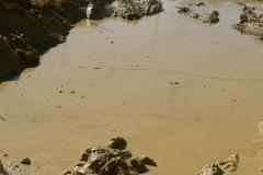 TTR-Kunstat23-pj-122