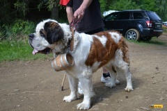 ttr-mohelnice22-mus-70