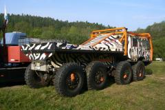 ttr-mohel23-pj-82-zebra