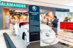 vyst-veter-arkady23-26