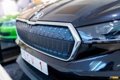 vyst-veter-arkady23-31