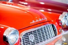 vyst-veter-arkady23-44