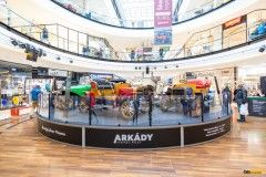 vyst-veter-arkady23-53