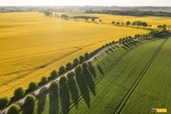 volvo-truck-elektric-57