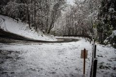 wrc-monza-snih20-1