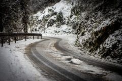 wrc-monza-snih20-2