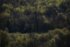 wrc-chorvatsko21-85