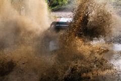 safari-2021-akcni-evans