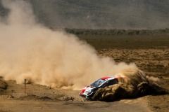 safari-2021-katsutaaa