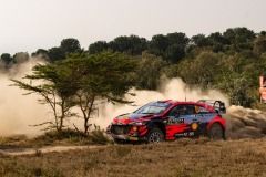 safari-2021-neuvile-2