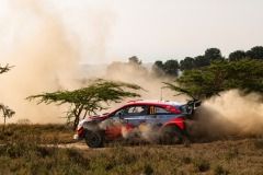 safari-2021-neuvile-3