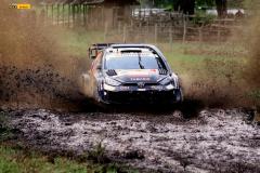 Safari25-jh-7-WRC