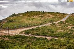 prokop-WRC21-acropolils-27