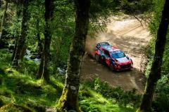 wrc-portugal21-15-tanak