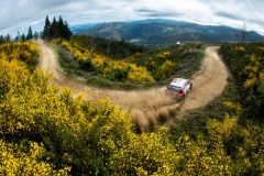 wrc-portugal21-4-tanak