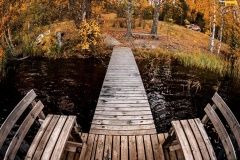 wrc21-prokop-finland-17