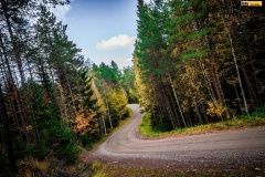 wrc21-prokop-finland-21