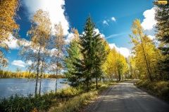 wrc21-prokop-finland-22