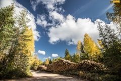 wrc21-prokop-finland-23