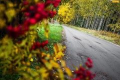 wrc21-prokop-finland-25