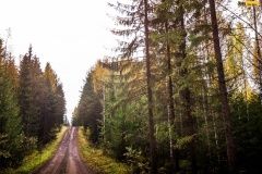 wrc21-prokop-finland-26
