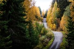 wrc21-prokop-finland-27