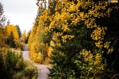 wrc21-prokop-finland-28