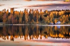 wrc21-prokop-finland-31