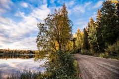 wrc21-prokop-finland-32